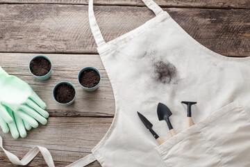 Transplanting home plant. Dirty soil stain on clothes. isolated on a wooden background. top view