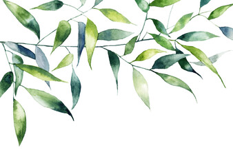 Watercolor branch with green leaves. Hand drawn illustration. Isolated on white background.