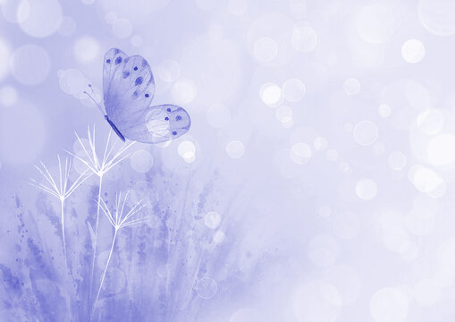 Meadow wild flowers, herbs, grasses horizontal purple background with butterfly