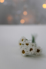 White flowers and light decoration