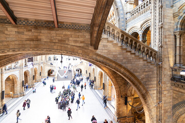 View of the Natural History Museum