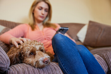 Woman With Pet Cockapoo Dog Relaxing On Sofa Checking Mobile Phone At Home