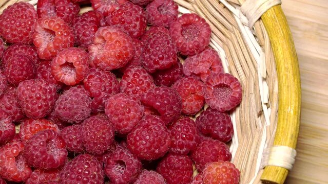 Fresh juicy red raspberries in a backet rotation. Close up