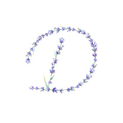 Floral Letter D. Watercolor hand drawn alphabet letter with  botanical illustration of lavender flowers, leaves and branch. Initial letter for logo, greeting cards, invitations