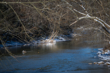 Trees hang over the river at the Loyalhanna Dam. Snow covered ground, flowing water, glistening water. 