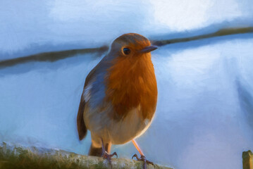 Digital painting of a European Robin, Erithacus rubecula in a natural woodland habitat.