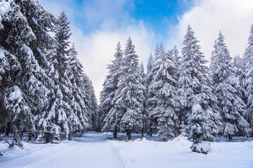 Fototapeta na wymiar Landschaft im Winter im Thüringer Wald in der Nähe von Schmiedefeld am Rennsteig