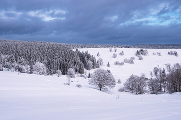Obraz premium Landschaft im Winter im Thüringer Wald in der Nähe von Schmiedefeld am Rennsteig