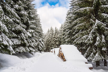 Landschaft im Winter im Thüringer Wald in der Nähe von Schmiedefeld am Rennsteig