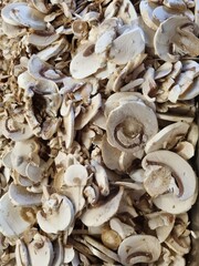 background of mushrooms