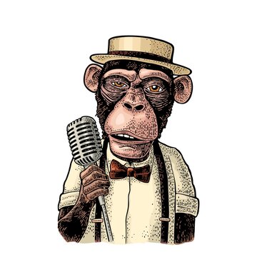 Monkey dressed hat, shirt, bow tie holding microphone. Engraving