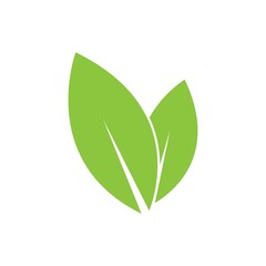 leaf logo icon vector design template