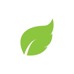 leaf logo icon vector design template