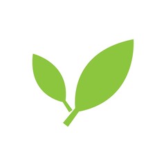 leaf logo icon vector design template