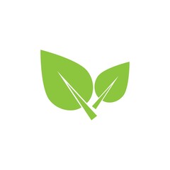 leaf logo icon vector design template