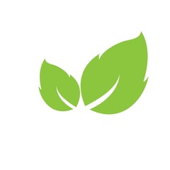 leaf logo icon vector design template