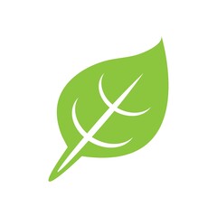 leaf logo icon vector design template