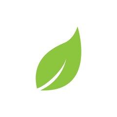 leaf logo icon vector design template