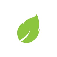 leaf logo icon vector design template