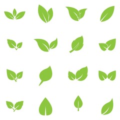 Fototapeta na wymiar leaf logo icon vector design template
