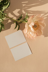 Blank paper card with mockup copy space, elegant peony flower with sunlight shadows on peach background. Top view, flat lay minimalist aesthetic bohemian brand template