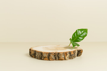 Empty wooden podium for display with green leaf, eco friendly minimal concept, beige background