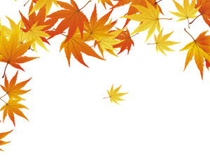 Naklejka na ściany i meble Maple Autumn Banner