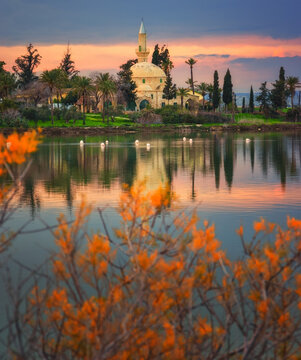 Cyprus - larnaca (salt lake)