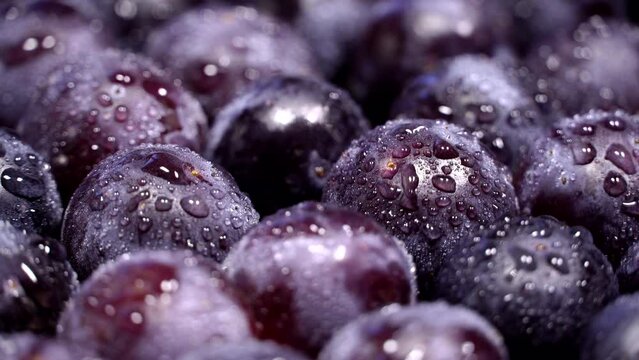 Fresh black grapes rotation background. Close up. Loop motion