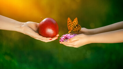 dary natury, jabłko i motyl na dłoni w ogrodzie, dbajmy o przyrode, Dzień Ziemi - obrazy, fototapety, plakaty