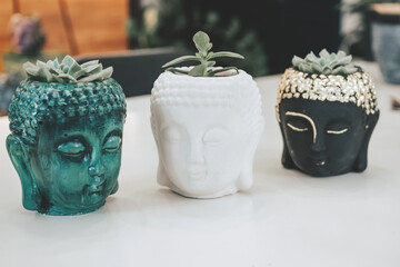 Stylish flower pots and succulents in the style of Buddha. Balinese style in the decor of the...