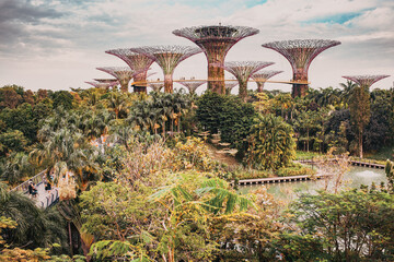 Fototapeta premium SINGAPORE, SINGAPORE - MARCH 2019: The Supertree Grove at Gardens by the Bay in Singapore near Marina Bay Sands hotel