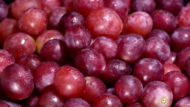 Fresh red grapes rotation background. Close up. Loop motion