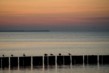 Sunset over the Baltic Sea in Kołobrzeg. - obrazy, fototapety, plakaty