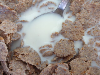 Cornflakes with Milk