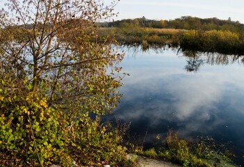 Landscape of the eastern ecopark located in the salt swamp in the municipality of Kołobrzeg.