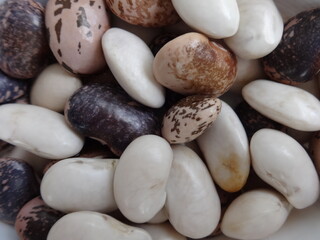 Fototapeta na wymiar Colorful Raw Beans