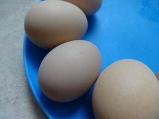 Boiled Eggs in a Blue Plate