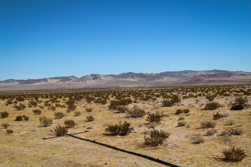 Blick in die Wüste in Nevada. Viel Sand, Berge und wenig Vegetation. Ein wunderschöner Ort.
