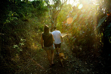 walking around forrest