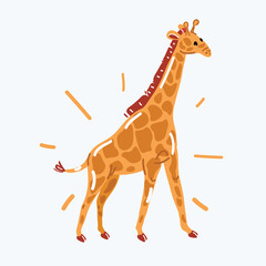 Vector illustration of giraffe. African animal