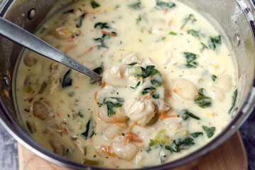 Gnocchi Chicken Soup. Traditional Italian chicken gnocchi soup with spinach, cream and carrots. 