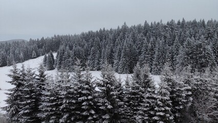 Schnee im Winter Winter in Winterberg
