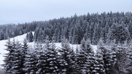 Schnee im Winter Winter in Winterberg