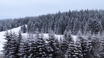 Schnee im Winter Winter in Winterberg