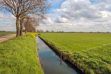 Typical Dutch polder landscape in early spring. The clouds in the sky are beautifully reflected in...