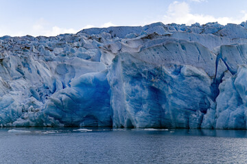 Fototapeta na wymiar The Gray Glacier