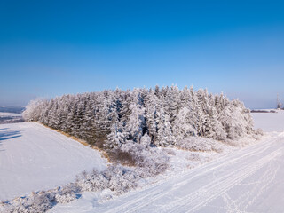 Obraz premium Aerial view of winter landscape covered by snow in sunny day. Czech Republic, Vysocina region highland