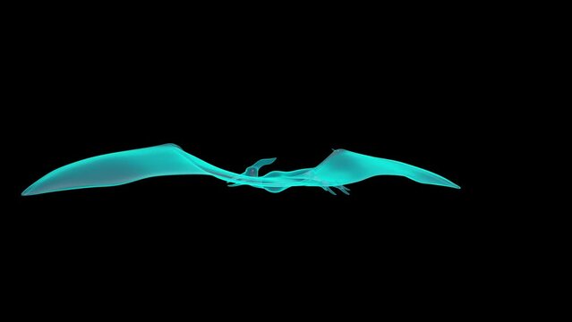 A 3D Holograph of Pterodactyl in X-ray render.