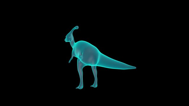 A 3D Holograph of Parasaurolophus in X-ray render.